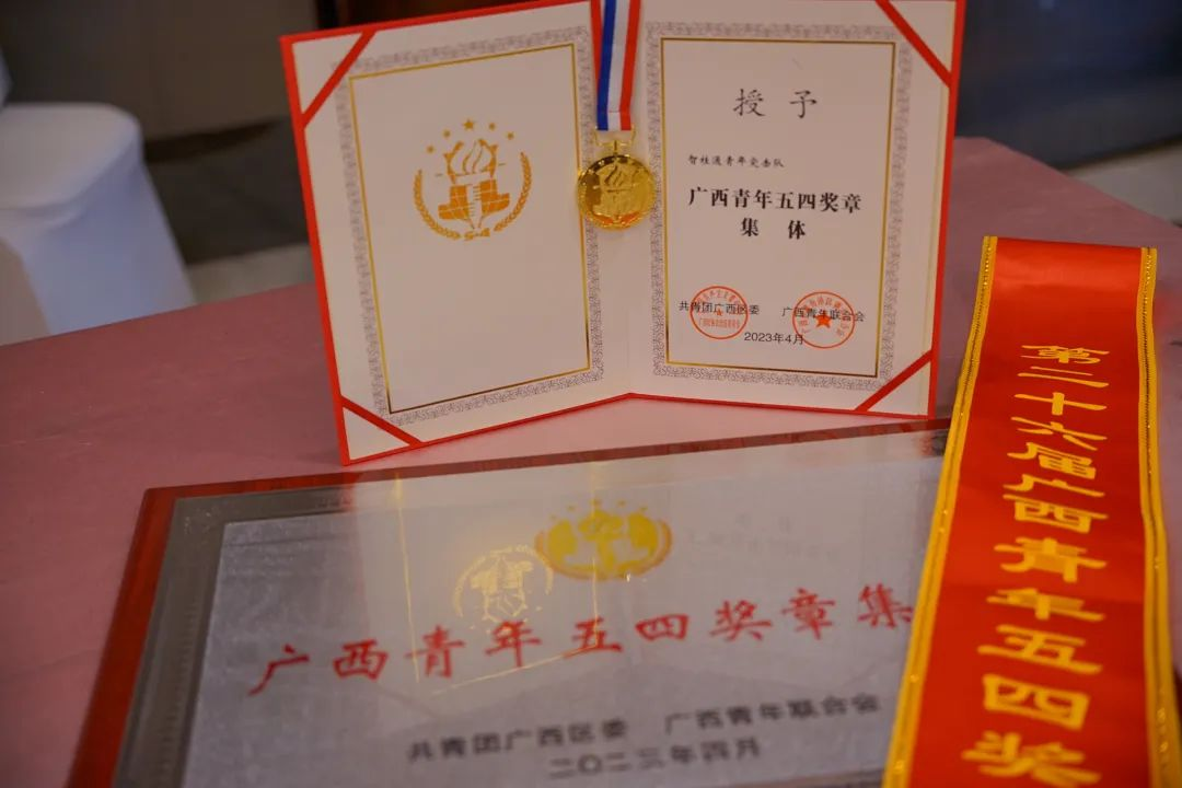 承诺佑装数”，青年有为|荣获自治区级赞美，这个青年集体“五力五促”做法你肯定重点赞